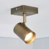Dunelm Newark 1 Light Antique Bronze Spotlight