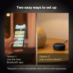 Philips HUE Smart 4 Watt SES LED Tunable Luster Bulb 2 Pack -wall lights Shop 30838358 alt04