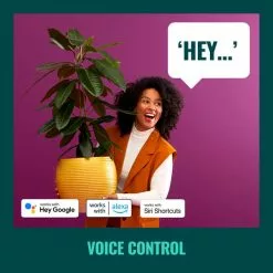 WiZ Connected WiZ Imageo Smart 4 Light LED Adjustable Spotlight 13 WiZ Connected WiZ Imageo Smart 4 Light LED Adjustable Spotlight -wall lights Shop 30838378 alt06