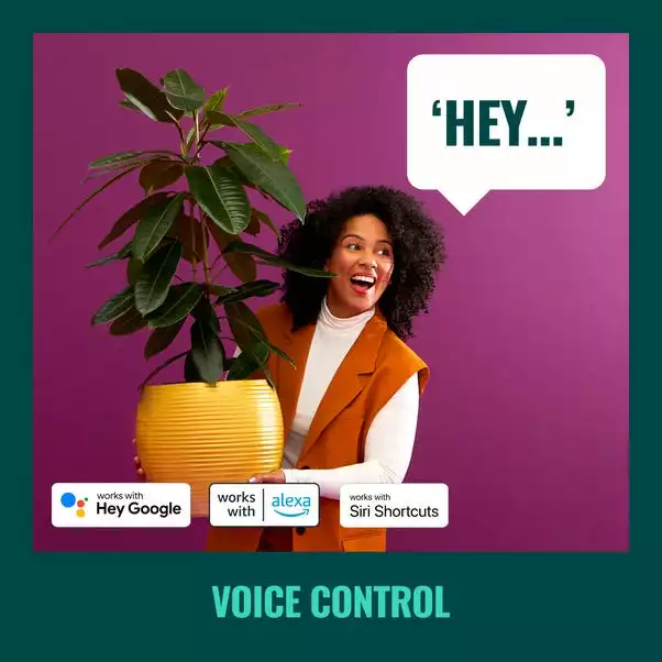 WiZ Connected WiZ Imageo Smart 4 Light LED Adjustable Spotlight 8 WiZ Connected WiZ Imageo Smart 4 Light LED Adjustable Spotlight - Image 6