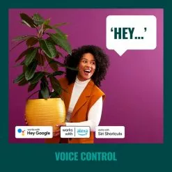 WiZ Connected WiZ 48ft Smart Ambient Outdoor String Lights -wall lights Shop 30838383 alt05