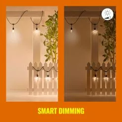 WiZ Connected WiZ 48ft Smart Ambient Outdoor String Lights -wall lights Shop 30838383 alt06